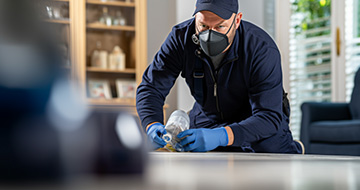 Securing Home and Business Environments with Professional Pest Control Services