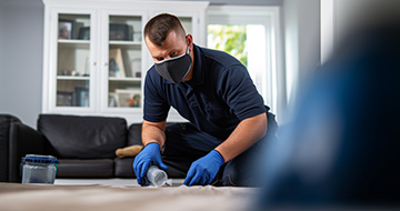 Safe and Secure Pest Control for a Vibrant Environment at Home or Business