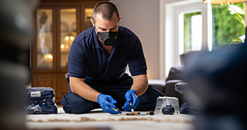 What Makes Our Pest Extermination in Manor Park So Good?
