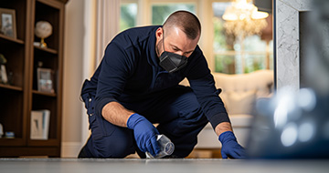 What Makes Our Pest Extermination in South Woodford Good?
