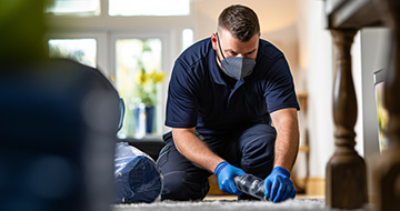What Makes Our Pest Control in Hendon Good?