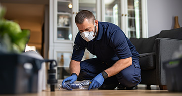 Optimal Pest Control for a Safe and Secure Environment at Your Home or Business