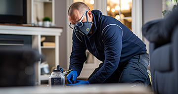 Creating a Pest-Free Environment in Your Home or Business