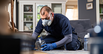 Pest Control for a Safe and Secure Environment in Your Home or Business