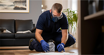 Secure Pest Control for a Safe and Healthy Environment at Home or Work