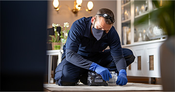 Protect Your Home or Business with Professional Pest Control Solutions