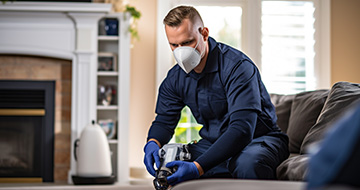 Keeping Your Home or Business Safe and Secure with Professional Pest Control Services