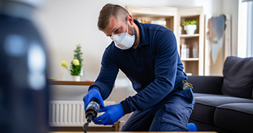 Protecting Your Home or Business with Professional Pest Control Services