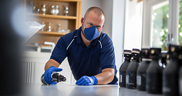 Efficient Pest Control for a Safe and Secure Environment at Your Home or Business
