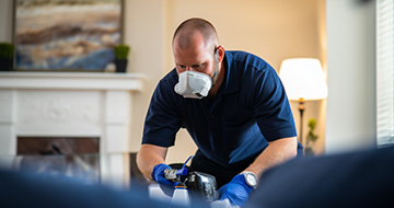Why Choose Our Pest Control Services in Whitton?