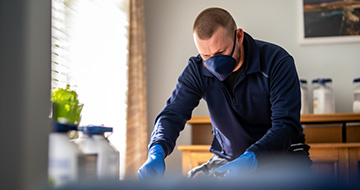 Protecting Your Home or Business with Effective Pest Control Solutions
