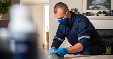 Why Choose Our Pest Control Services in Southall?
