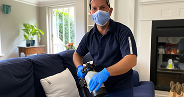 Protecting Your Home or Business from Pest Invasions with Professional Pest Control Solutions