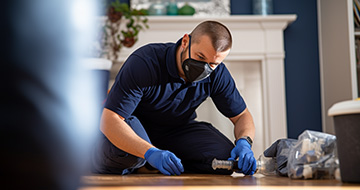 What Makes Our Pest Control Services in Walworth a Preferred Choice?