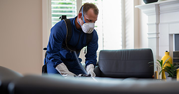 West Norwood Professional Pest Control for a Safe and Secure Environment at Your Home or Business