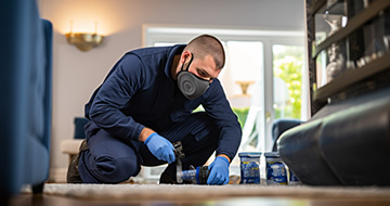 What Makes Our Pest Control Services in Battersea a Preferred Choice?
