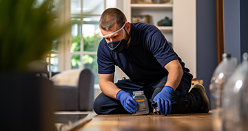 Quality Pest Control in Earlsfield for a Safe and Secure Environment at Your Home or Business