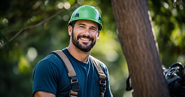 Experience Professional Tree Surgery Services in Harrow
