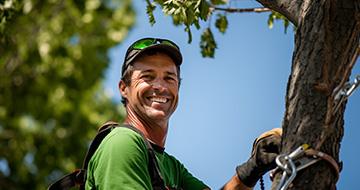 What Sets Our Tree Surgery Services in Richmond Apart?