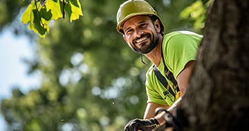 Why Choose Our Tree Surgery Services in Chiswick?