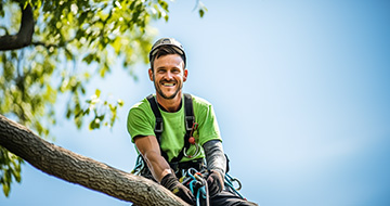 What Makes Our Tree Surgery Services in Holland Park Superior?