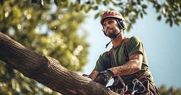 What Sets Our Tree Surgery Services in Maida Hill Apart?