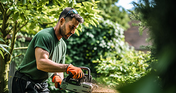 Why Choose Our Tree Surgery Services in Bounds Green?