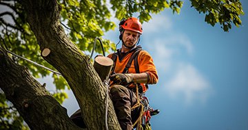 What Sets Our Tree Surgery Services in East Finchley Apart?