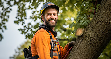 What Makes Our Tree Surgery Services in Palmers Green Reliable and Professional?