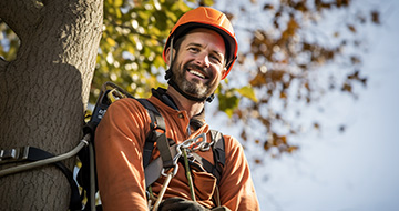 What Are the Benefits of Choosing Our Tree Surgery Services in Southgate?