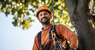 Why Choose Our Tree Surgery Services in Tottenham?