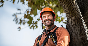 What Makes Our Tree Surgery Services in Tufnell Park Unparalleled?