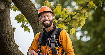 Why Are Our Tree Surgery Services in Wood Green the Best Choice?
