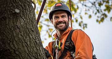Why Choose Our Tree Surgery Services in Wood Green?