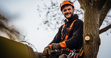 What Benefits Do Our Tree Surgery Services in Abbey Wood Provide?