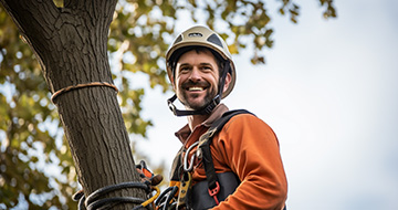 Why Choose Our Tree Surgery Services in Abbey Wood?