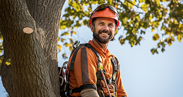 What Makes Our Tree Surgery Services in Camberwell a Cut Above the Rest?