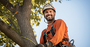 Why Choose Our Tree Surgery Services in Camberwell?