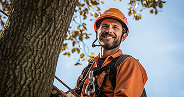 Why Choose Our Tree Surgery Services in Catford?