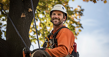 What Makes Our Tree Surgery Services in Charlton Unrivaled?