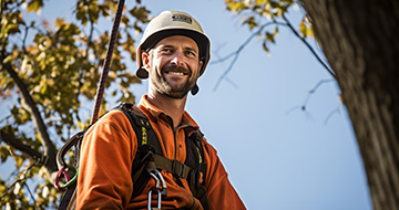 Why Choose Our Tree Surgery Services in Charlton?