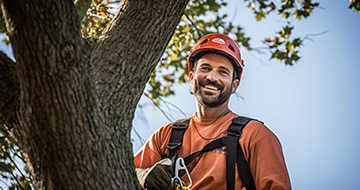 Why Choose Our Tree Surgery Services in Crofton Park?