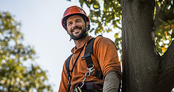 Why Choose Our Tree Surgery Services in Crystal Palace?