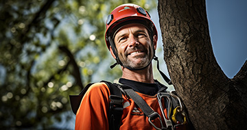 Why Choose Our Tree Surgery Services in Brixton?