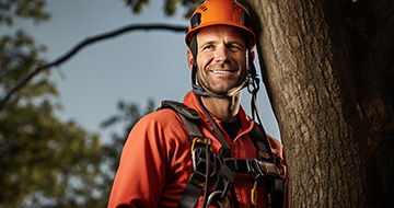 Why choose our Tree surgery services in Chelsea