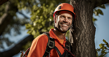 Why choose our Tree Surgery Services in Shoreditch