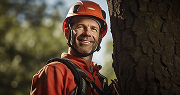 Discover the Exceptional Quality of Our Tree Surgery Services in East Ham!