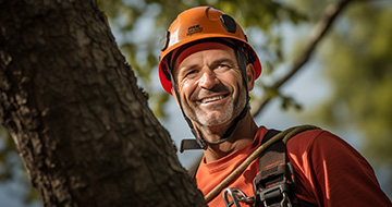 Why Choose Our Tree Surgery Services in Forest Gate?