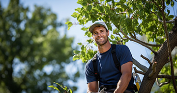 What Benefits Can You Expect From Our Tree Surgery Services in Hither Green?