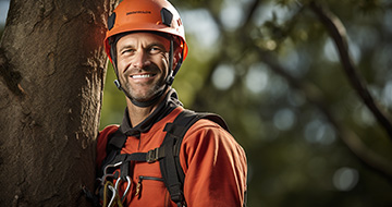 Why Choose Our Tree Surgery Services in Woodford?